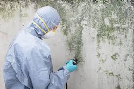 Best Comprehensive Air Testing for Mold Contaminants  in Queens, NY